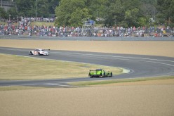 #24LM PA08402