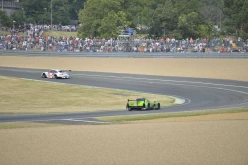 #24LM PA08402