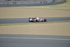 #24LM PA08374