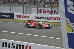 #24LM PA08537