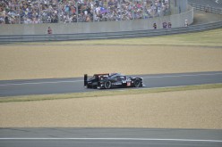 #24LM PA08362
