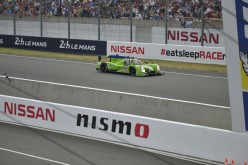 #24LM PA08542