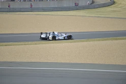 #24LM PA08388