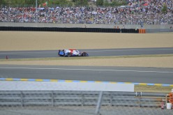 #24LM PA08359