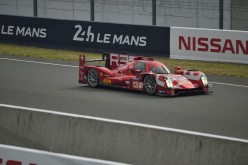 #24LM PA08579