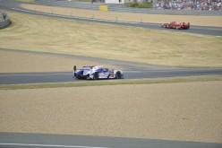 #24LM PA08386