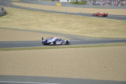 #24LM PA08386