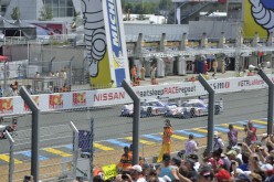 #24LM PA08274