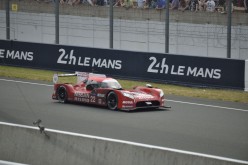 #24LM PA08529