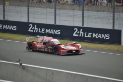 #24LM PA08529