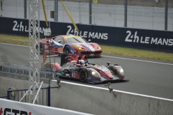 #24LM PA08495