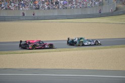 #24LM PA08391
