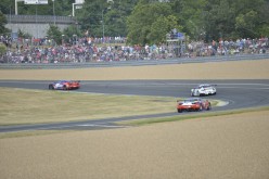 #24LM PA08436