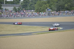 #24LM PA08436