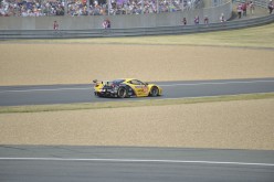 #24LM PA08380