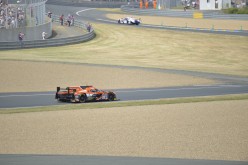 #24LM PA08387