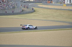 #24LM PA08389