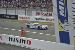 #24LM PA08538