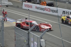 #24LM PA08460