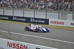 #24LM PA08467