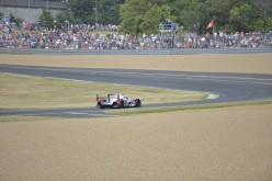 #24LM PA08412