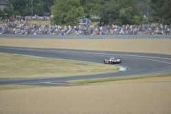 #24LM PA08355