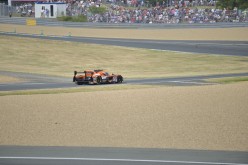 #24LM PA08418