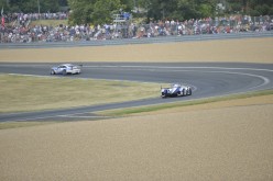 #24LM PA08369