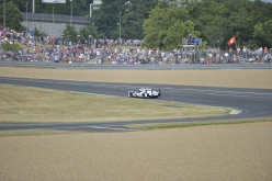 #24LM PA08411
