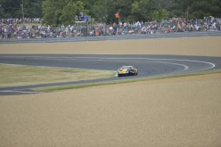 #24LM PA08416