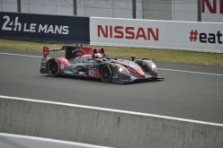 #24LM PA08523