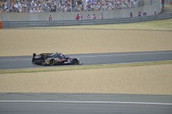 #24LM PA08376