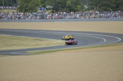 #24LM PA08378