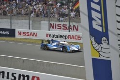 #24LM PA08556