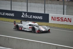 #24LM PA08551