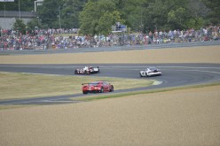 #24LM PA08440