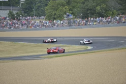 #24LM PA08440