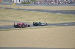 #24LM PA08392