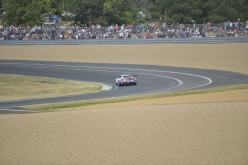 #24LM PA08395