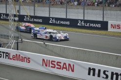 #24LM PA08534