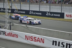 #24LM PA08534