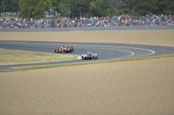 #24LM PA08419