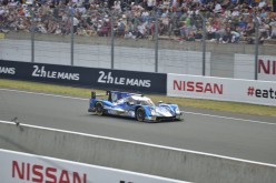 #24LM PA08465
