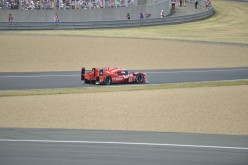 #24LM PA08382