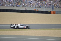 #24LM PA08385
