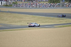 #24LM PA08394