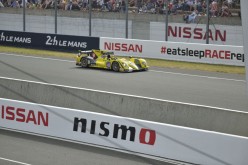 #24LM PA08448