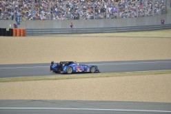 #24LM PA08393