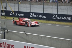 #24LM PA08497
