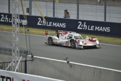 #24LM PA08490